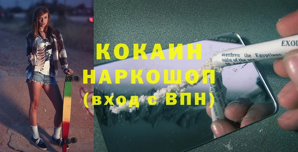 эйфоретик Богданович