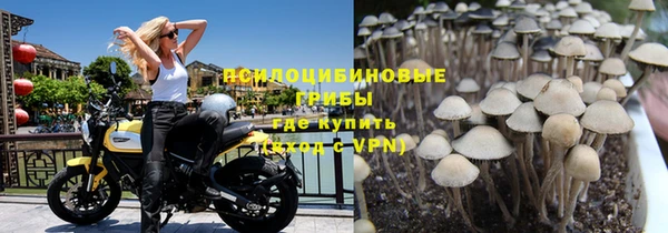 эйфоретик Богданович
