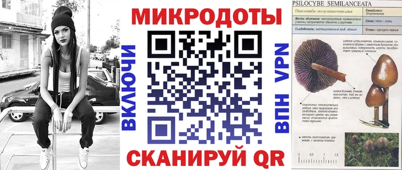 Псилоцибиновые грибы Psilocybine cubensis купить закладку Венёв