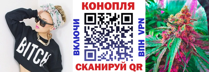Каннабис семена  Венёв 